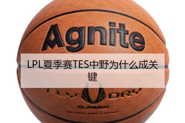 LPL夏季赛TES中野为什么成关键
