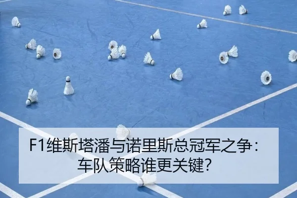 F1维斯塔潘与诺里斯总冠军之争：车队策略谁更关键？